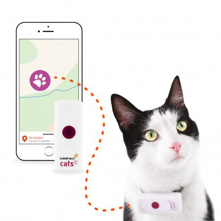 Comment fonctionne le traceur GPS pour chat ?