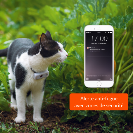 Weenect Cats 2 : Test complet de ce collier traceur GPS pour chat