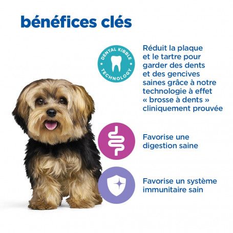 Les chiens. Education, hygiène, santé, achat - Label Emmaüs