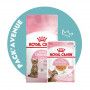 Pack'Avenue Royal Canin CAT KITTEN STERILISED 3,5KG avec émincé en gelée