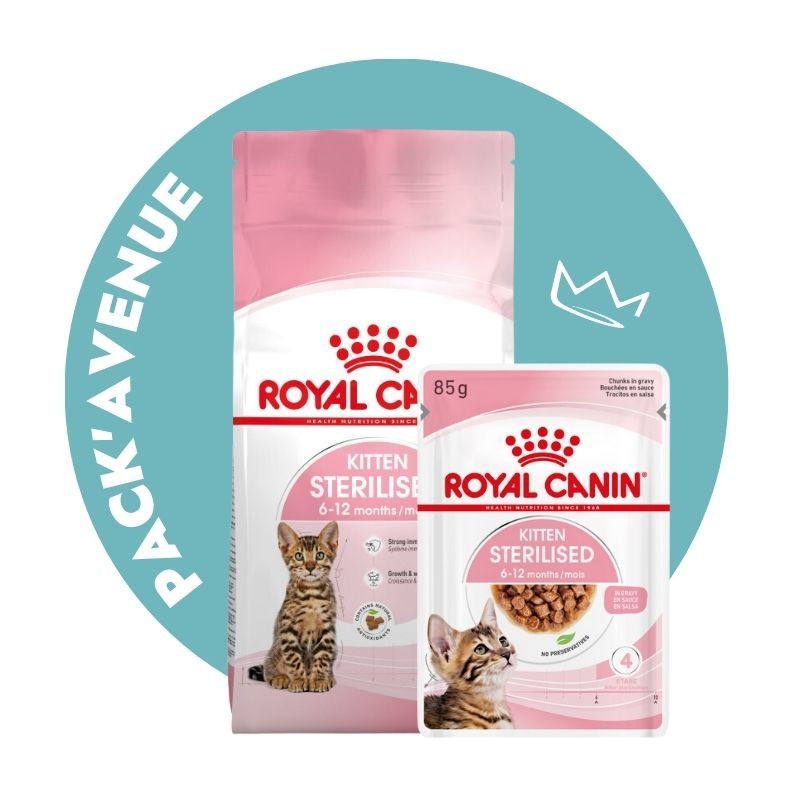 Royal Canin Kitten pour chaton de 4 à 12 mois