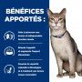 Chat k/d Kidney Pack Mixte Sachet repas