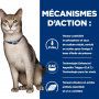 Chat k/d Kidney Pack Mixte Sachet repas