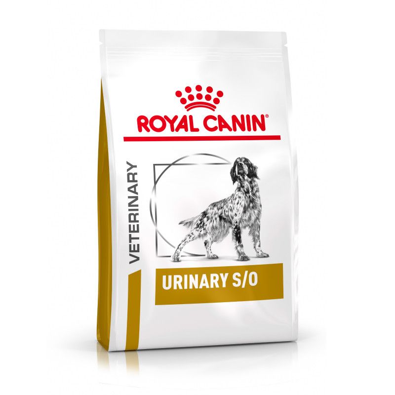 Croquette Royal Canin- Dog Urinary S/O, problèmes urinaires