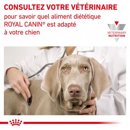 Royal Canin® Veterinary Diet Recovery Adult Cat & Dog Ultra Soft Mousse Wet  Food � 5.1 oz can, dog Veterinary Diets