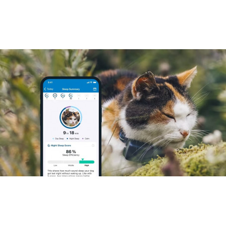 GPS Tractive Cat Mini pour chat - 55 x 28 x 17 mm - 25 g (Bleu)