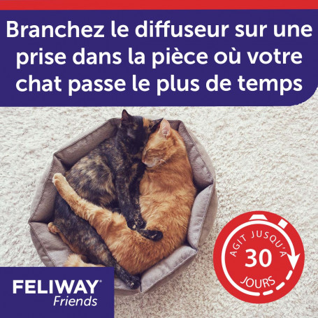 Feliway friends prix best sale