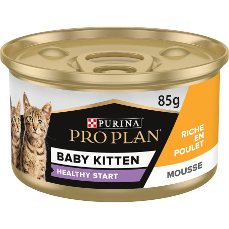 Cat Baby Kitten Mousse Poulet Boîte