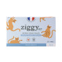 Ziggy Chat Adulte Insuffisance Renale Porc Pâtée