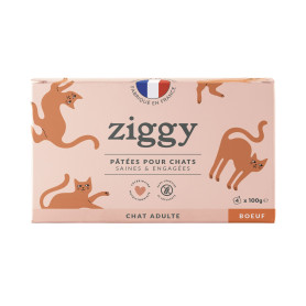 Ziggy Chat Adulte Boeuf Pâtée