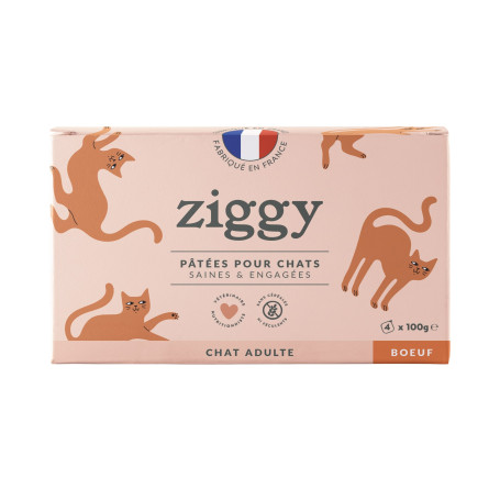 Ziggy Chat Adulte Boeuf Pâtée