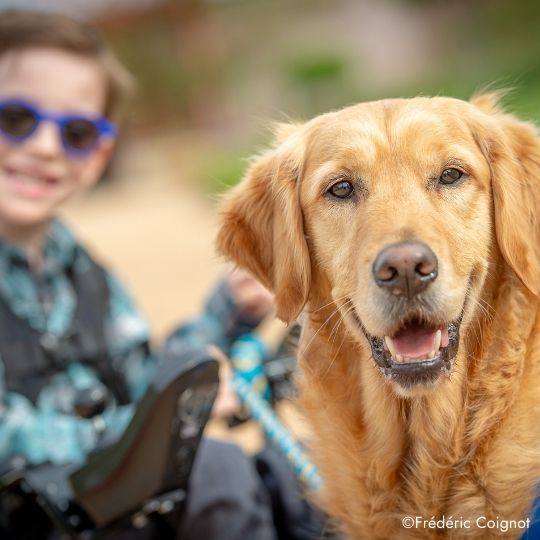 Une personne en situation de handicap avec un chien d'assistance