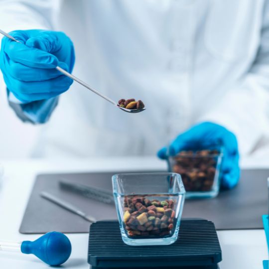 Croquettes étudiées dans un laboratoire