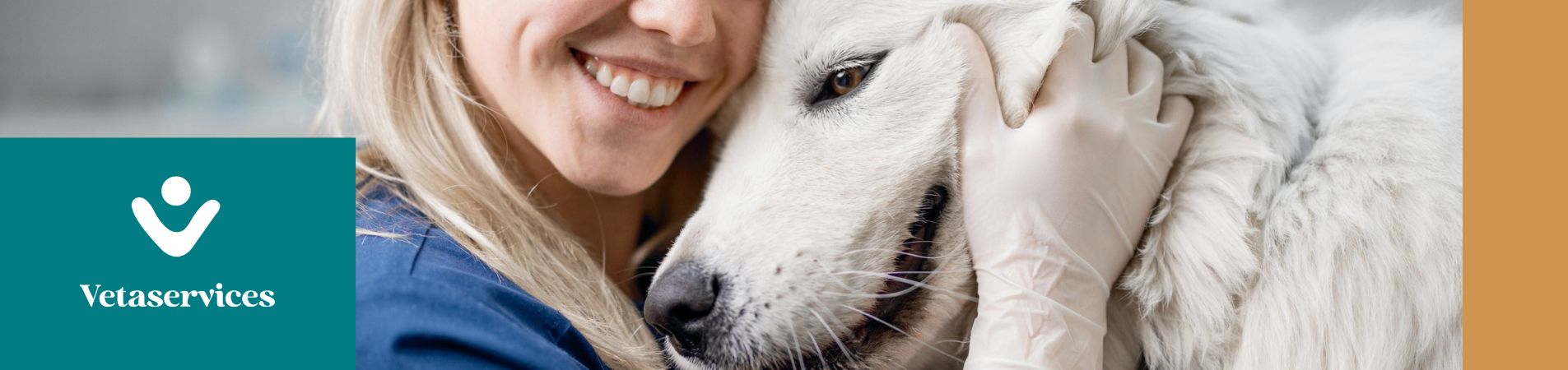 Vétérinaire avec un chien blanc et logo Vetaservices