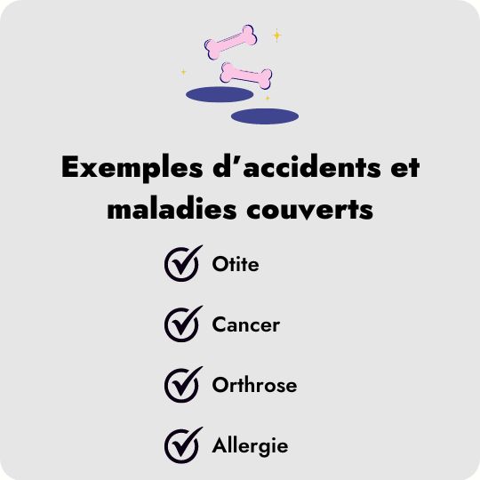 Les exemples d'accidents et maladies couverts par Dalma