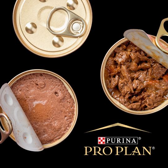 Boîtes de pâtée avec logo Pro Plan