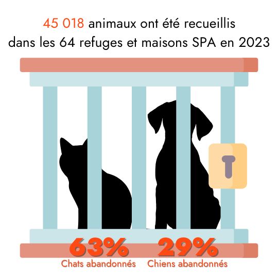 45018 animaux ont été accueillis dans les 64 refuges et maisons SPA en 2023