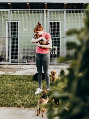 Une femme dans un refuge avec des chiens