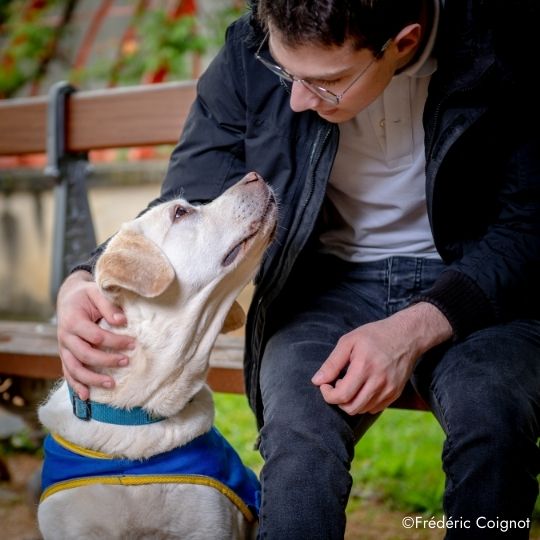 Un homme et un chien qui se regardent