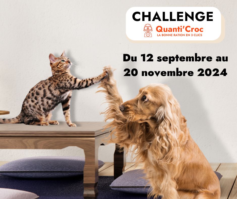 Challenge Quanti'Croc, du 6 octobre au 31 janvier