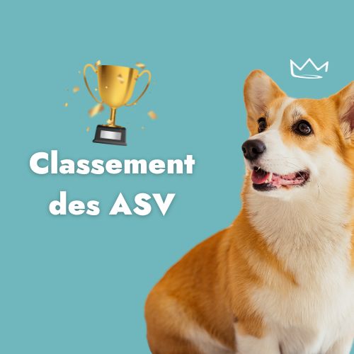 Classement 5 ETP ASV et plus