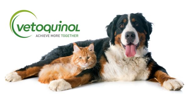 Un chien et un chat avec le logo Vetoquinol