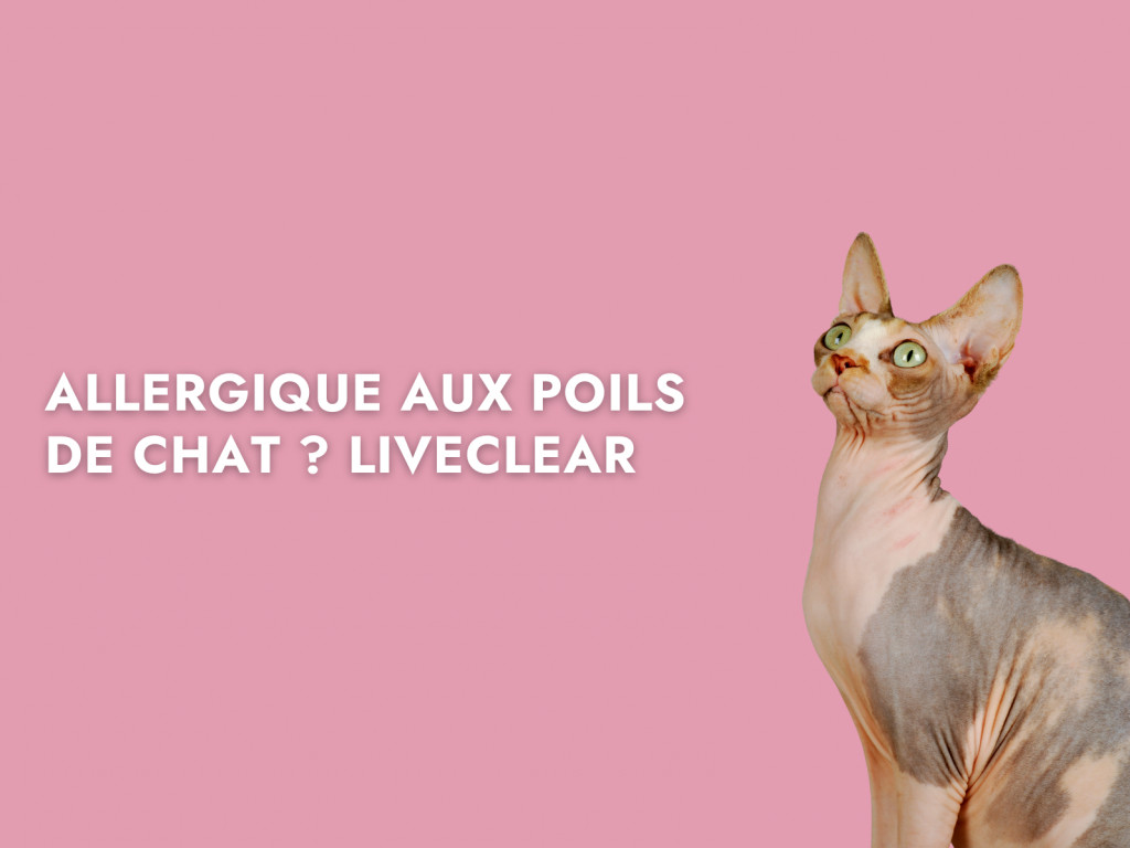 allergique aux poils de chat