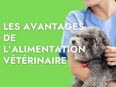 Les avantages de l'alimentation vétérinaire