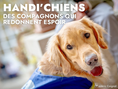 HANDI'CHIENS : Des compagnons de vie qui redonnent espoir