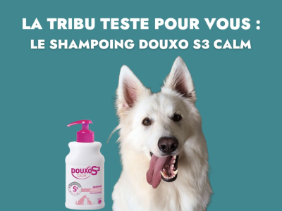 La tribu teste pour vous : Shampoing Douxo S3 Calm 